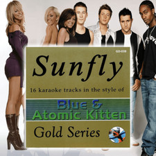 Mr Entertainer Karaoke CDG CD