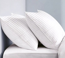 Extra Filled Pillows Pack of 2