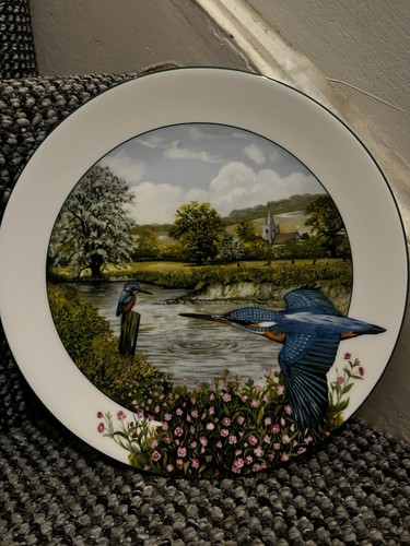 The riverside kingfisher royal - riverside,