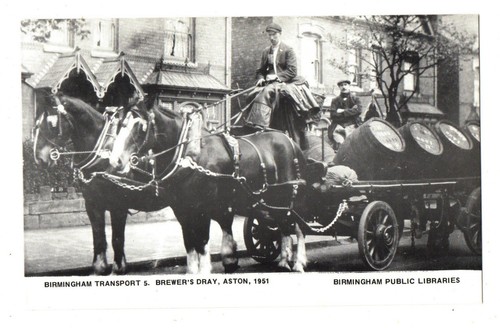 Brewery horse and - brewery,