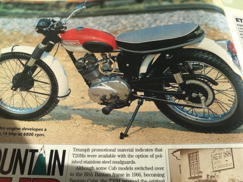 Triumph mountain cub - triumph,