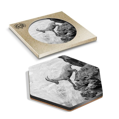 Hexagon coaster bw - -,