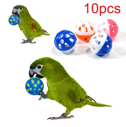 10pcs parrot bird - 10pcs,