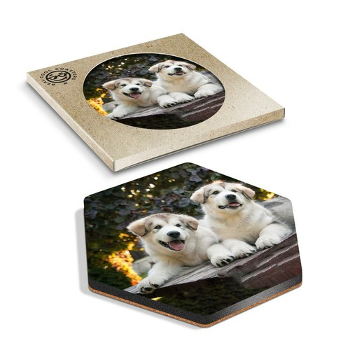 Hexagon coaster alaskan - hexagon,