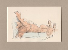 Lucy Dawson ~ Irish Setter ~