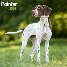 Pointer 2026 Calendar  Square