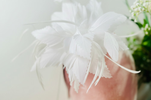Elegant flower feather - flower,