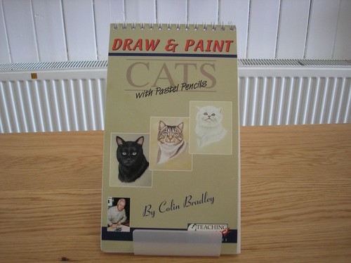 Draw paint cats with - draw,