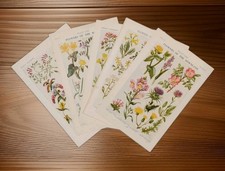 Set of Vintage 1950s British