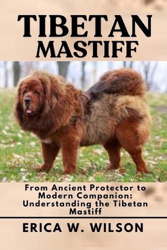 Tibetan mastiff from ancient - tibetan,