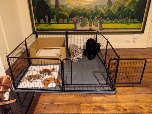 Panel dog pen pet puppy - panel,