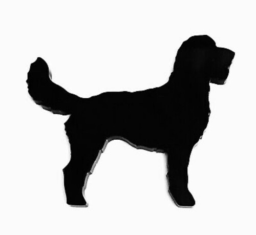 Labradoodle dog brooch badge - brooch,
