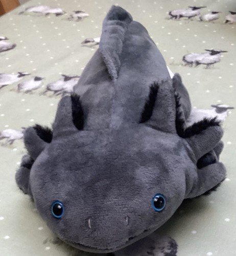 45cm axolotl salamander - 45cm,