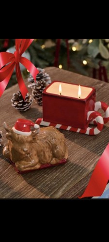 Next festive spice - next, hamish