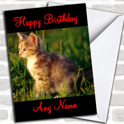 Lovely kitten personalised - kitten,