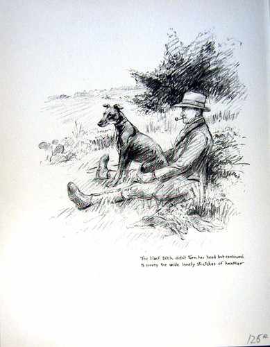 Old vintage print c1933 dogs - c1933,