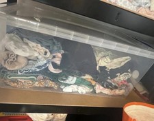 Massive Girls Clothes Bundle