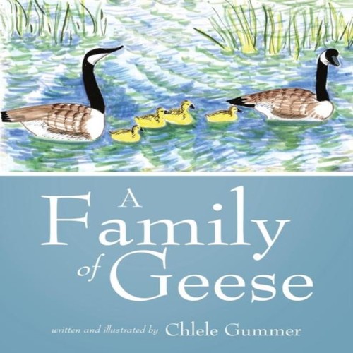 Family geese chlele - a,