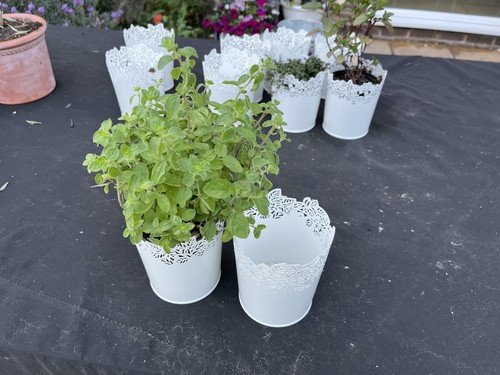 Ikea samverka plant pots 15 - samverka,