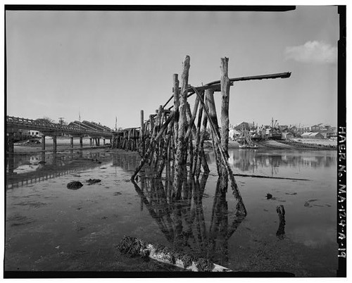 Cape cod cold - cod,