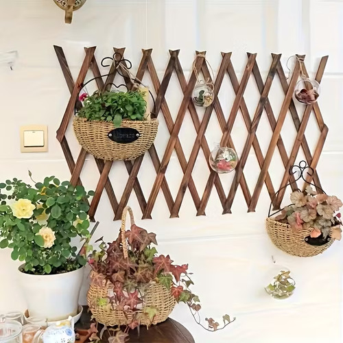 Pack expandable wooden plant - 2,