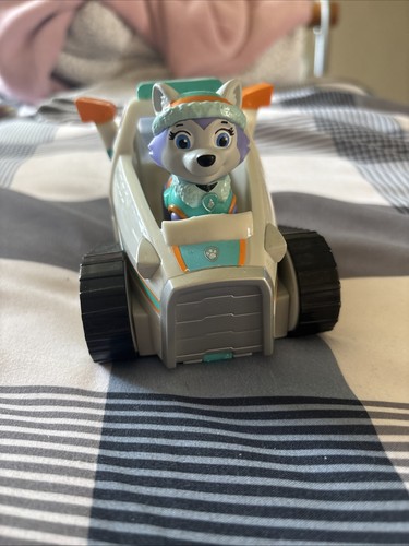 Paw patrol everest - paw, rescue