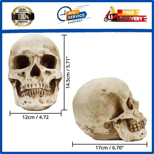 170cm halloween poseable - halloween,