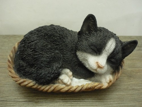 Hotant adorable black white - black, &