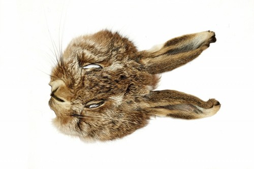 Natural hares mask - hares, ears