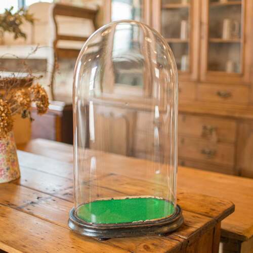 Large antique botany - large,