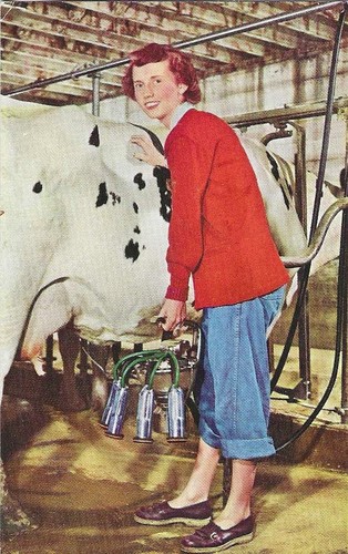Vintage surge dairy - surge,