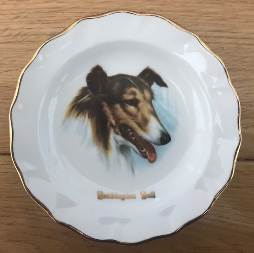 Fine bone china porcelain - fine,
