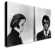 Elvis presley police mugshot - elvis,