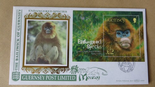 Guernsey 2004 monkey - guernsey,