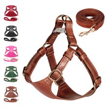Soft Leather Dog Harness &