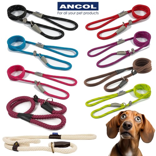 Slip lead ancol rope dog - slip,