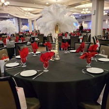 Light Up Ostrich Feather