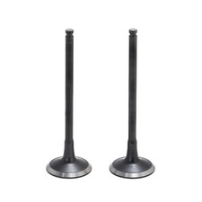 Pair Exhaust Valves Kit For