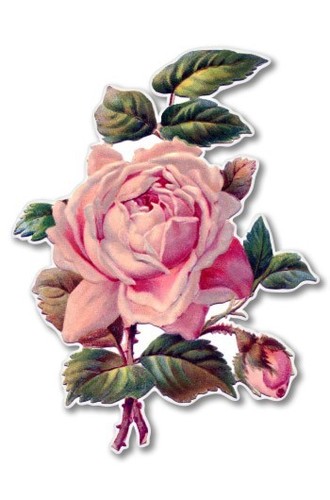 Vintage rose beautiful car - vintage,
