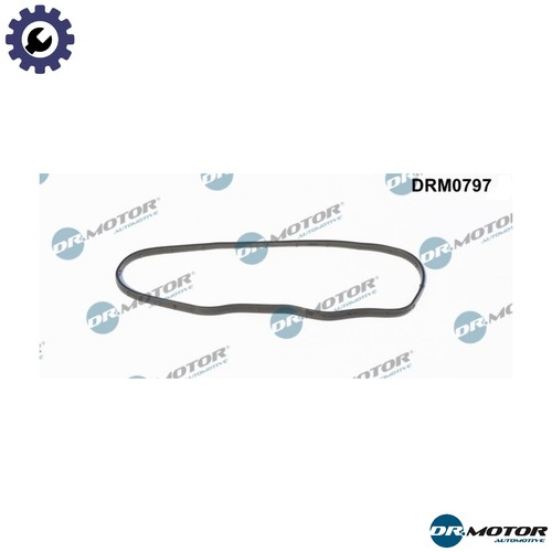 Gasket timing case cover - timing,