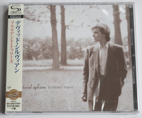 David sylvian brilliant - david,