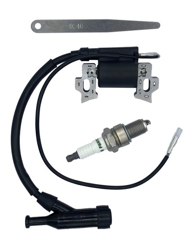 590603 196cc 208cc ignition - 208cc,