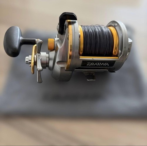 Daiwa sealine ishidai - 12,