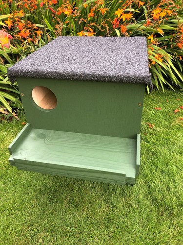 Little owl nesting box - , in