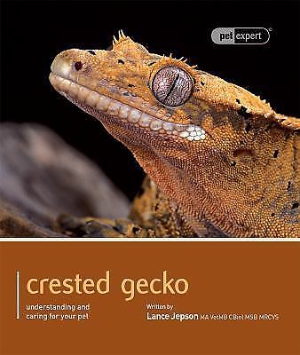 Lance jepson crested gecko - jepson,