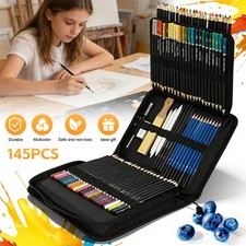 145PCS Professional Artist