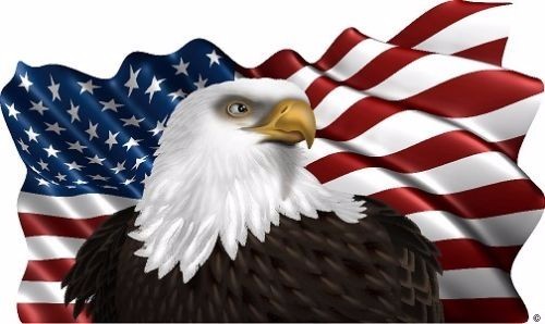 American flag eagle decal - american,