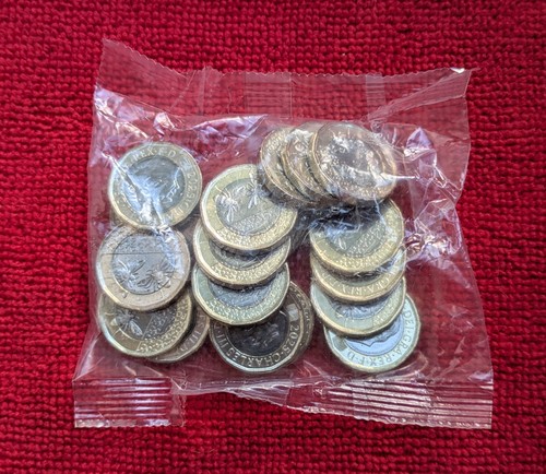 2025 one pound coin - sealed, bag