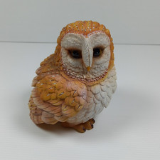 Vivid Arts Barn Owl Detailed