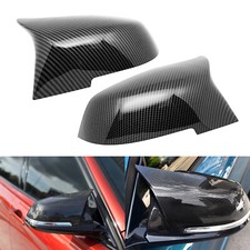 Carbon Fiber Style Wing Door